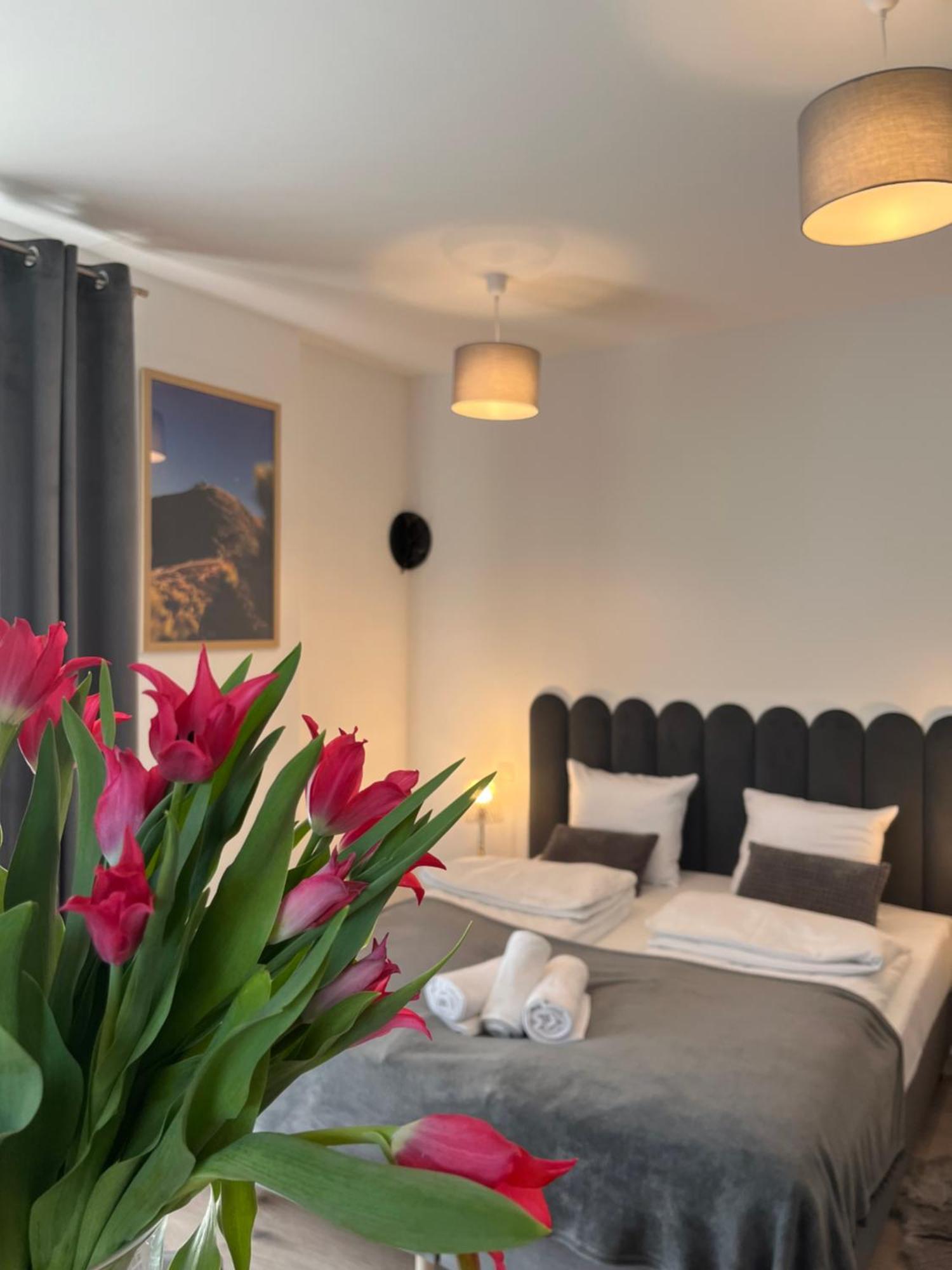 Karkonoskie Widoki Apartamenty Karpacz Zewnętrze zdjęcie