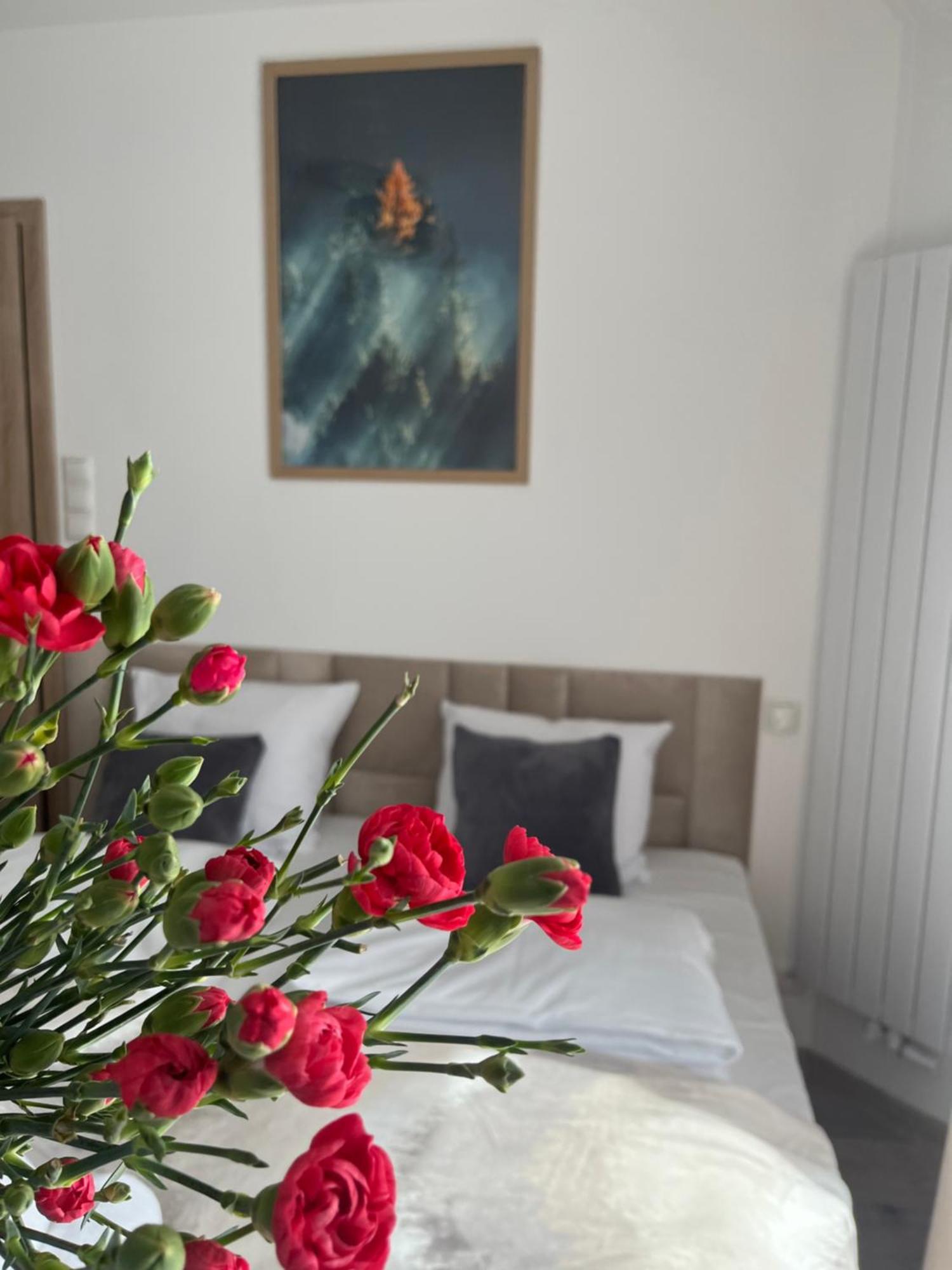 Karkonoskie Widoki Apartamenty Karpacz Zewnętrze zdjęcie