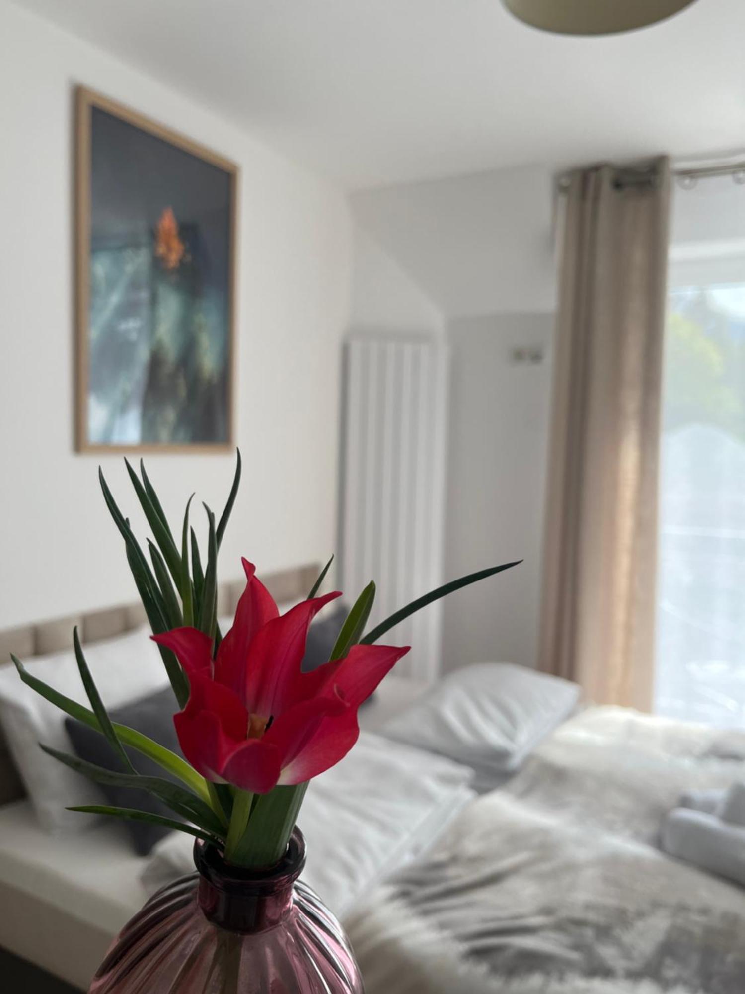 Karkonoskie Widoki Apartamenty Karpacz Zewnętrze zdjęcie