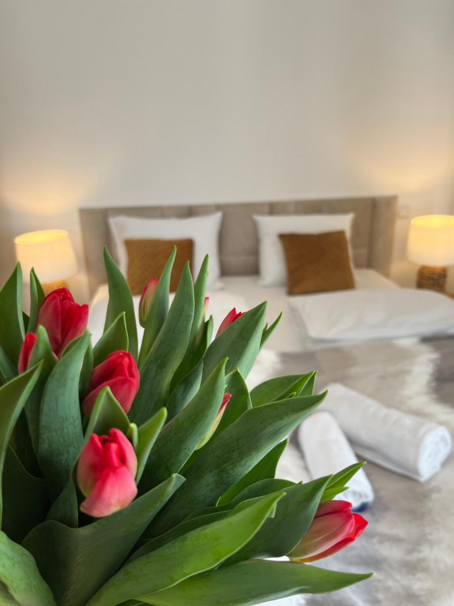 Karkonoskie Widoki Apartamenty Karpacz Zewnętrze zdjęcie