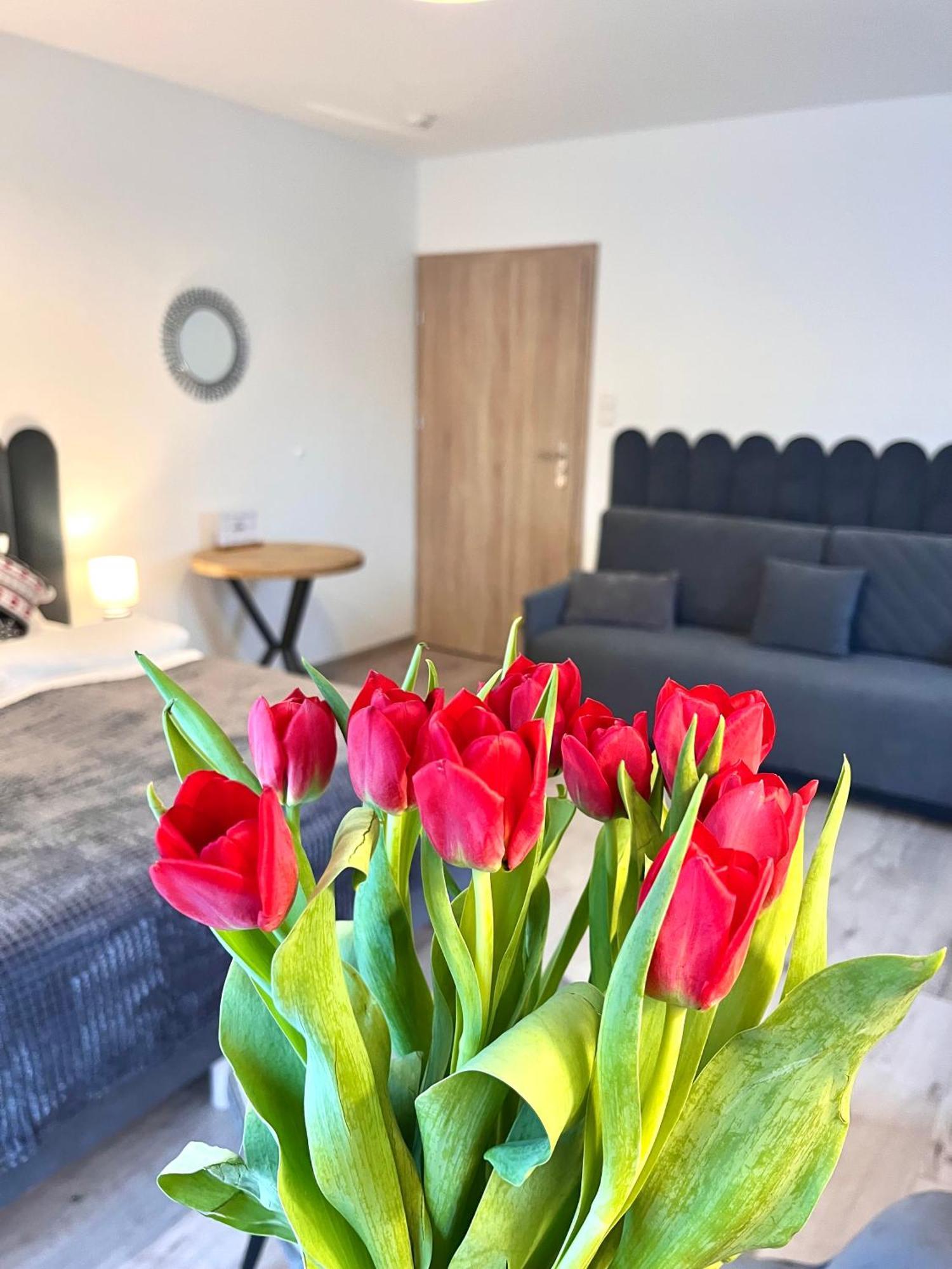 Karkonoskie Widoki Apartamenty Karpacz Zewnętrze zdjęcie