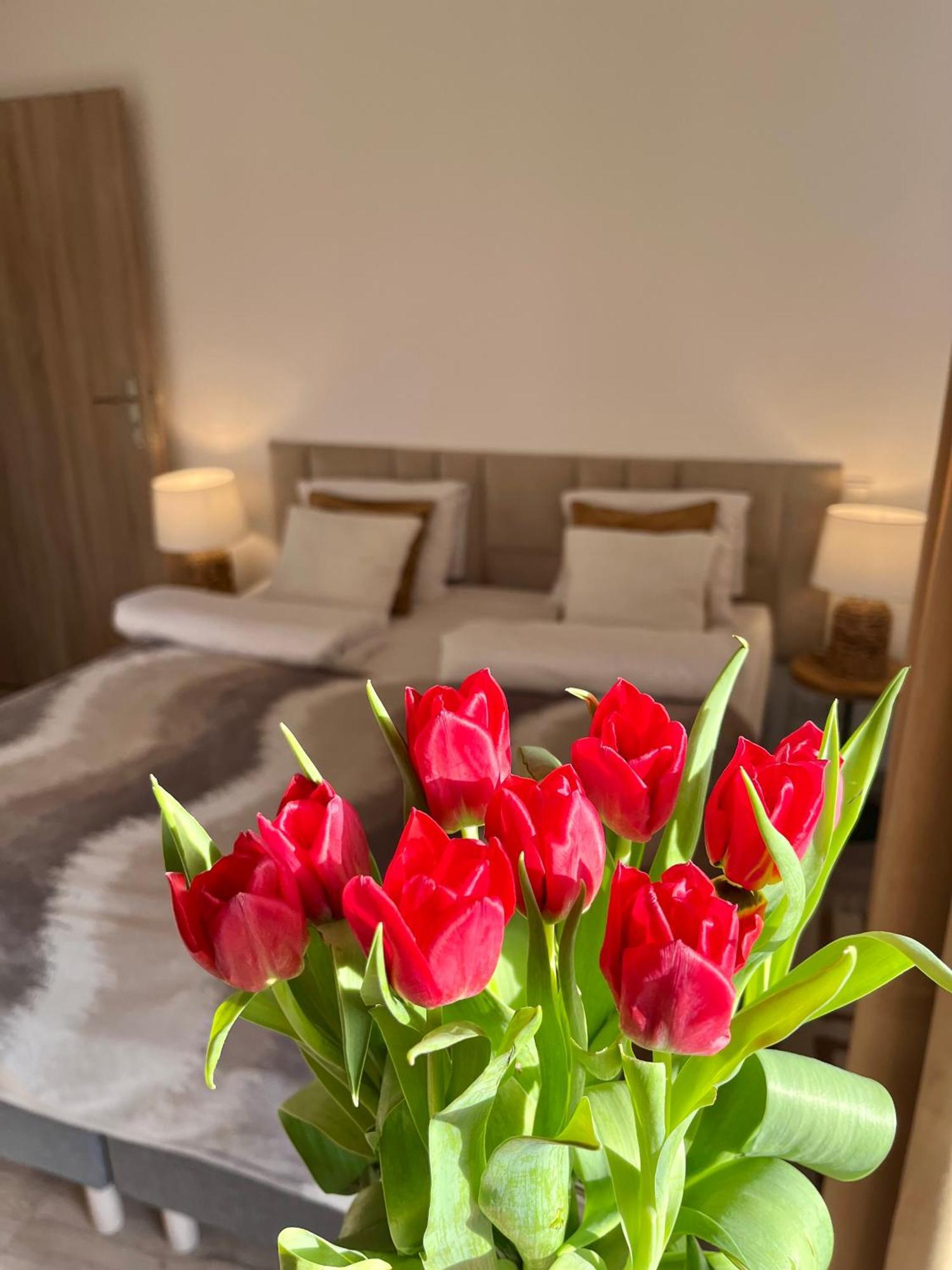 Karkonoskie Widoki Apartamenty Karpacz Zewnętrze zdjęcie
